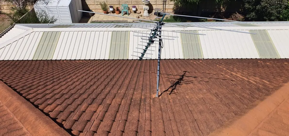 Roof with green algae growth before Extera treatment