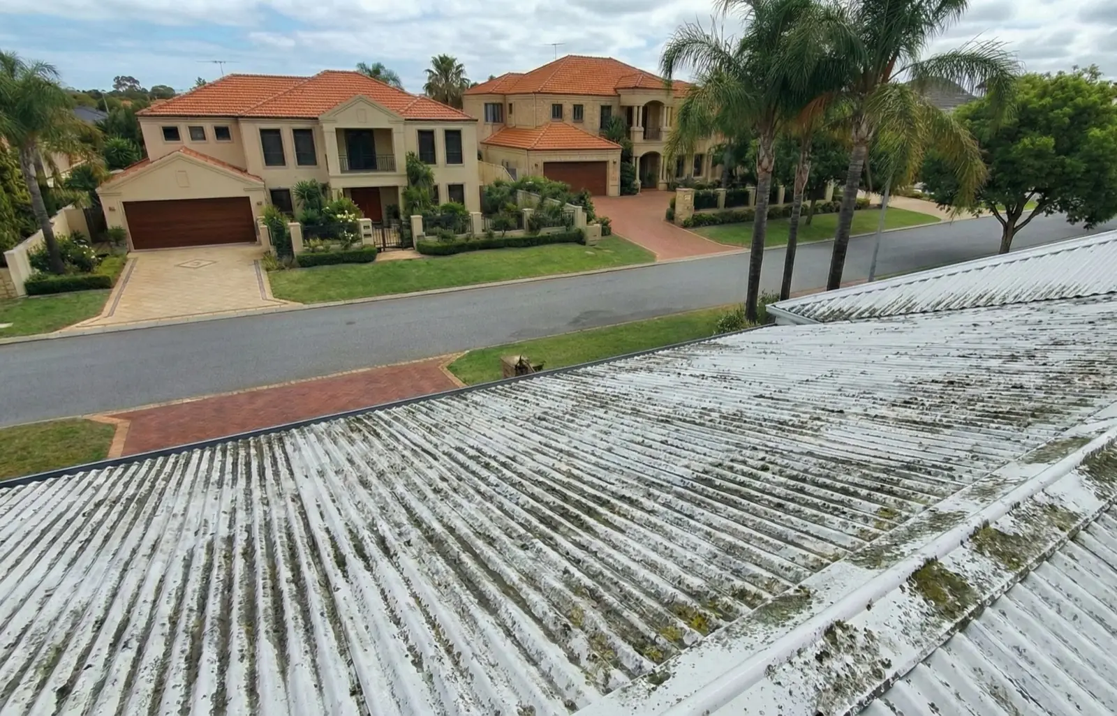 A Perth roof carrying moss and lichen, the growth an Extera roof treatment kills