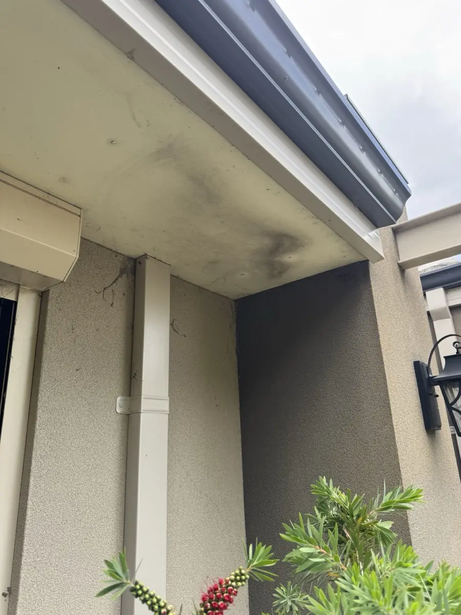 Black mould on render eaves before treatment